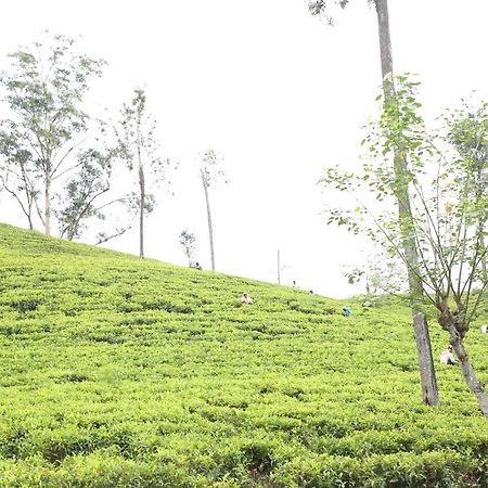 Ella Tea Land View Apartment ภายนอก รูปภาพ