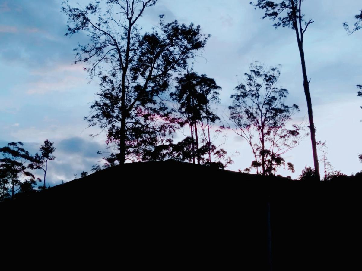 Ella Tea Land View Apartment ภายนอก รูปภาพ