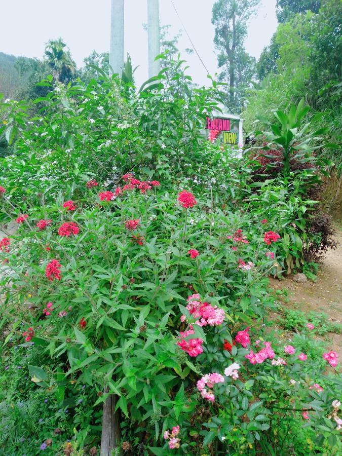 Ella Tea Land View Apartment ภายนอก รูปภาพ