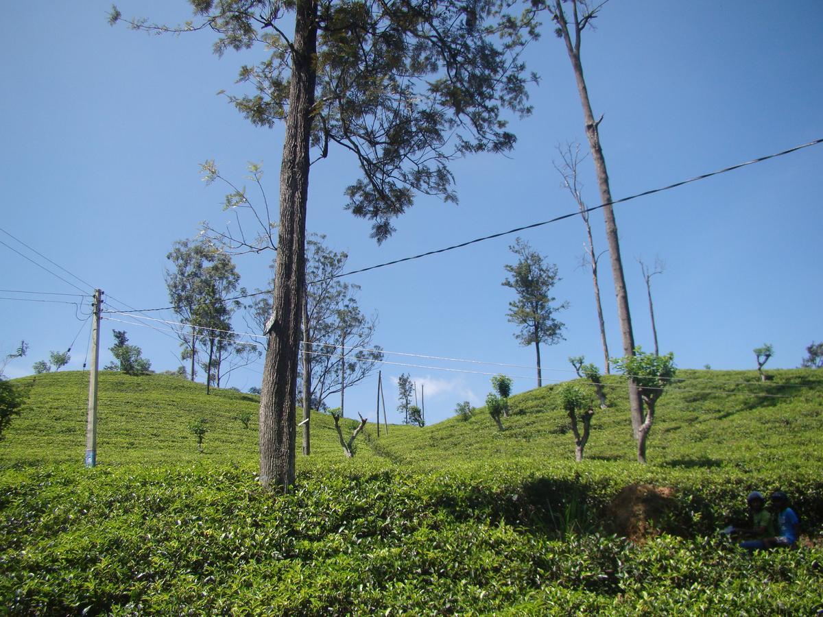 Ella Tea Land View Apartment ภายนอก รูปภาพ