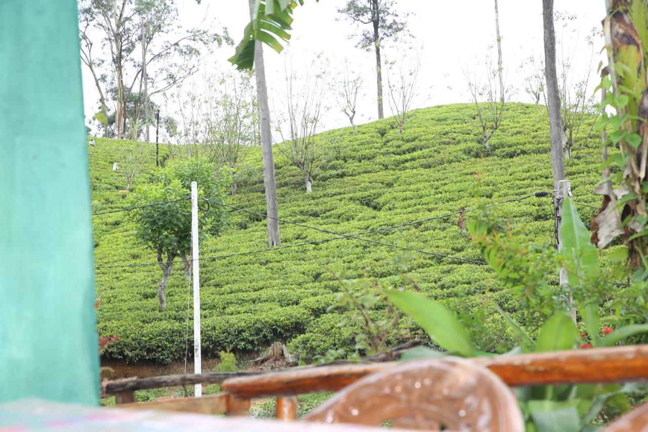 Ella Tea Land View Apartment ภายนอก รูปภาพ