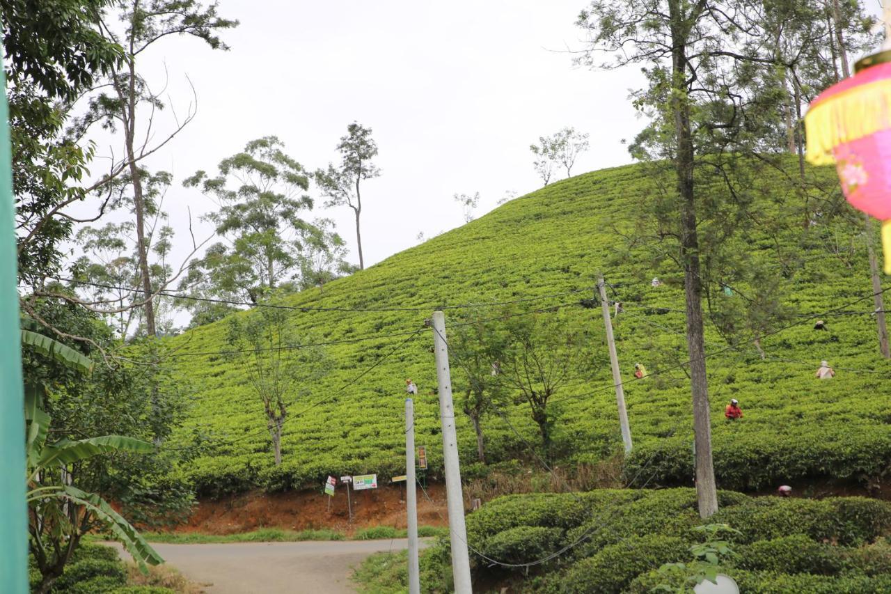 Ella Tea Land View Apartment ภายนอก รูปภาพ
