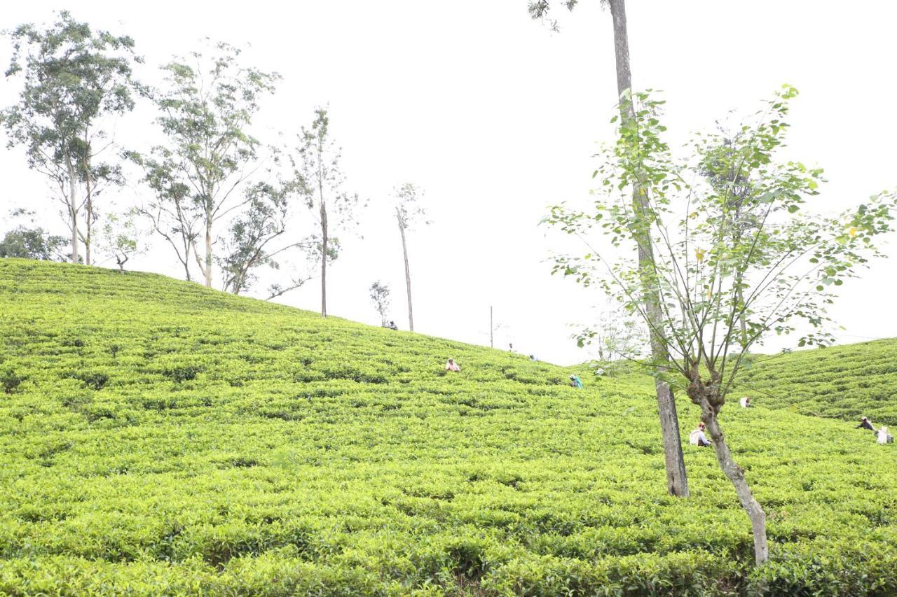 Ella Tea Land View Apartment ภายนอก รูปภาพ
